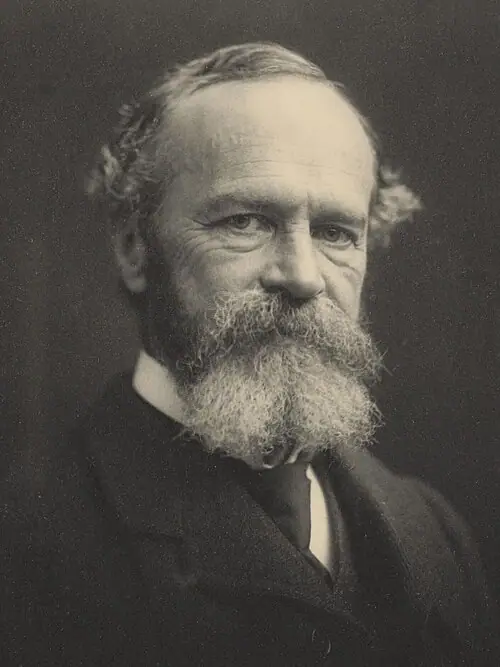 Photographie ancienne : William James, barbe grise, regarde l'objectif.